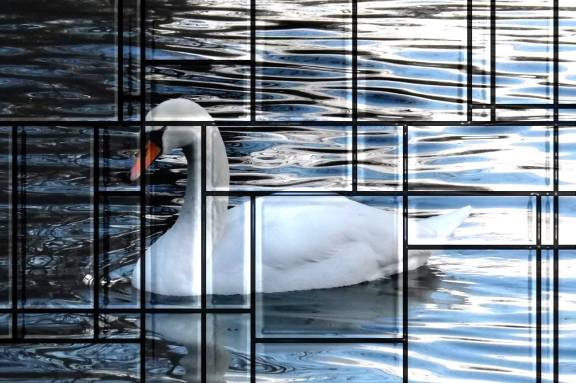 Mosaic Swan - Ian Meen