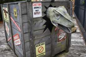Beware the Dinosaur! By Brenda Crossan