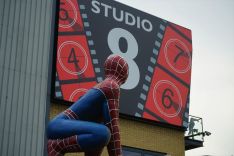 Spiderman at Studio 8 by Dave Hook