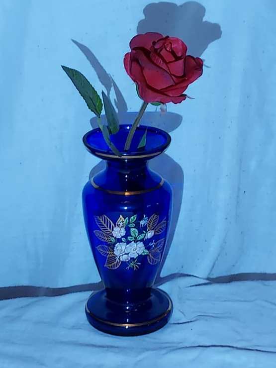 Vase, flower and shadow - Julie Pidd