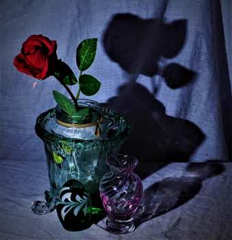 Vases and flower - Dave Hook