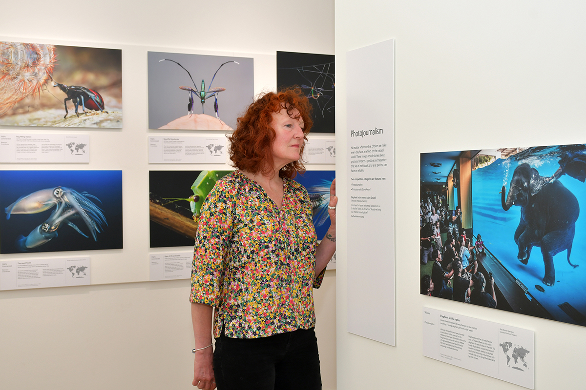 Wildlife Photographer of the Year exhibition trip